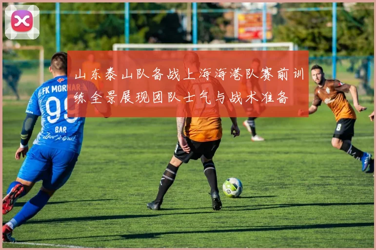山东泰山队备战上海海港队赛前训练全景展现团队士气与战术准备
