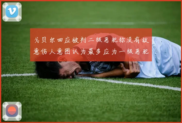 戈贝尔回应被判二级恶犯称没有故意伤人意图认为最多应为一级恶犯
