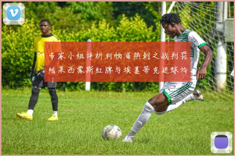 专家小组评析利物浦热刺之战判罚结果西蒙斯红牌与埃基蒂克进球均属合理