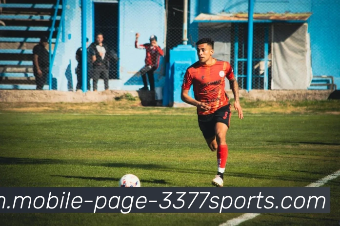 3377体育APP 封面图